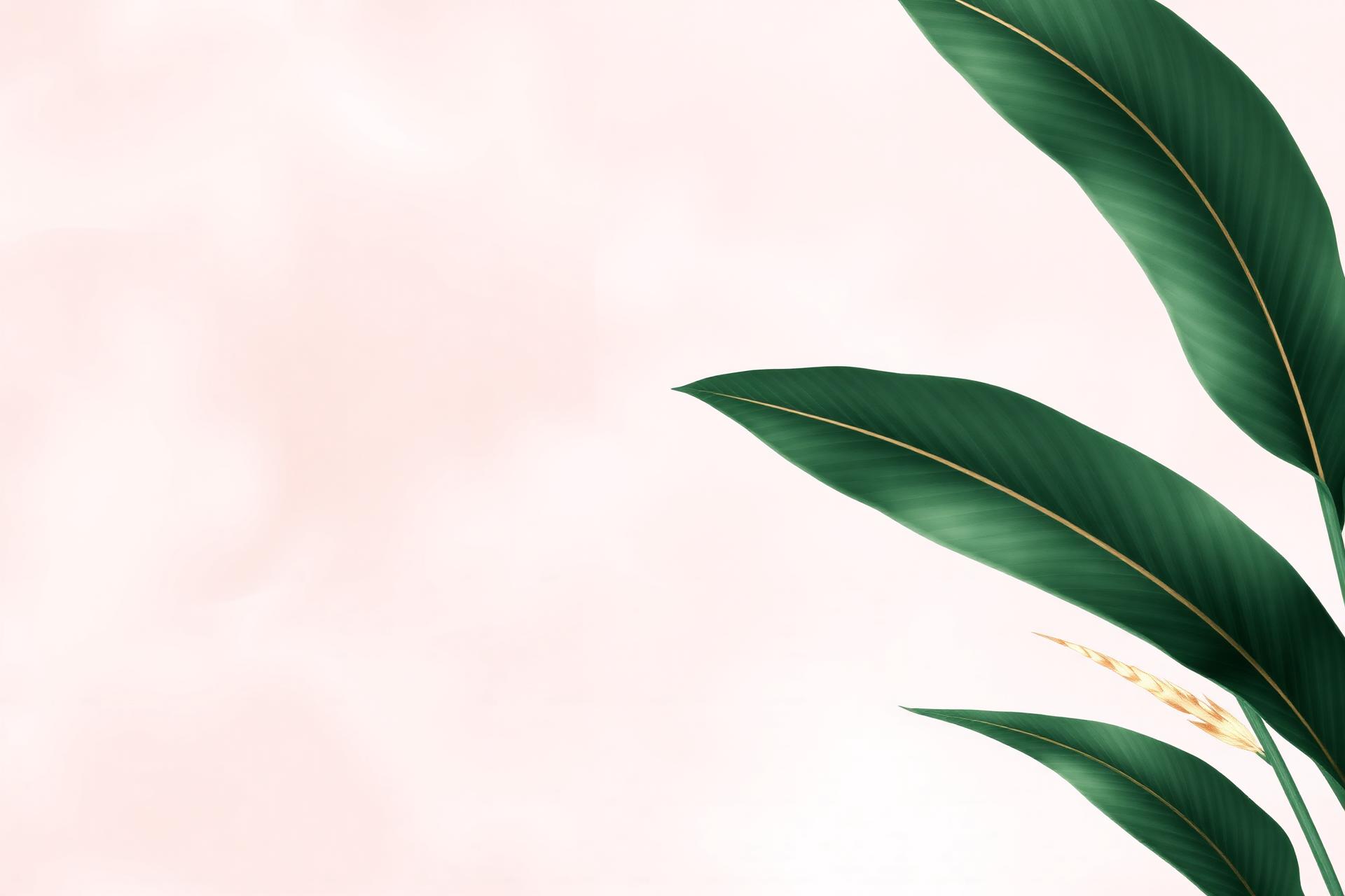Botanical blush and emerald composition